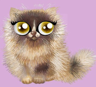 Take in a shiny persian breed cat